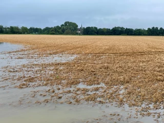Que d’eau, que d’eau !