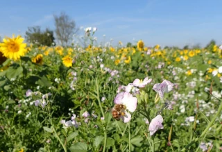 L’agriculture, une solution au défi climatique