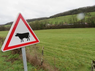 Pour des campagnes vivantes et apaisées
