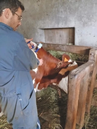 DNC : questions/réponses