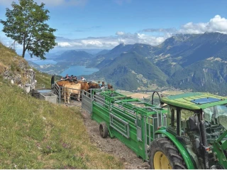 En Zone réglementée, je vaccine pour protéger mon troupeau et celui des autres éleveurs