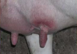 Reprise de la circulation virale