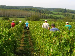 Quelles solutions face au manque de main d’œuvre ?