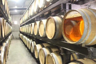 Petite année pour les vins du Jura