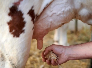 Nos derniers articles