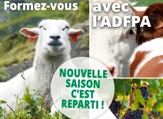 Les formations ADFPA