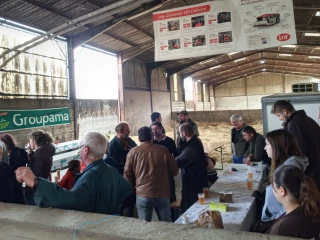 La traite robotisée au service de la précision