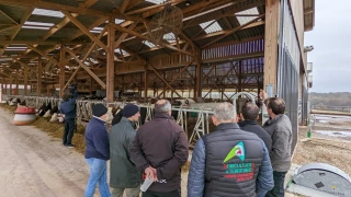 Pâturage et robot font la paire !