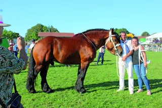De Maîche avec le cheval comtois