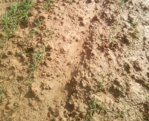 CARG’eau : pour mieux gérer la ressource en eau