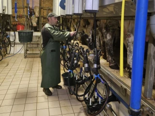 Mono-employeur avec Soelis, une sécurité économique