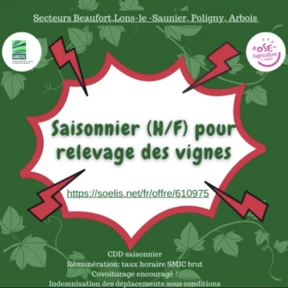 Offre d’emploi saisonnier 