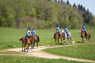Un terrain agréable et ludique pour le Raid du comté