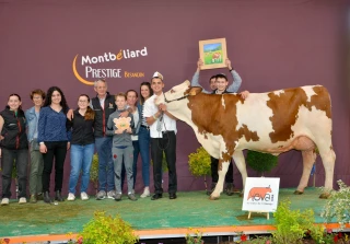 Salopette n'est plus une bleue