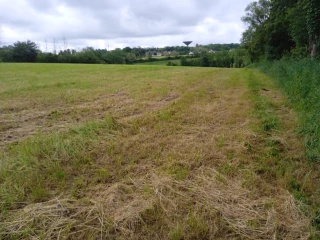Premières fauches de foin : un printemps compliqué !