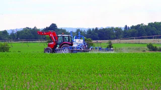 Désherbage du maïs, la préservation des molécules restantes est l’affaire de tous