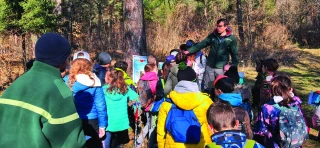 Voyage au cœur de nos forêts