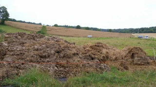 Sus aux moucherons !