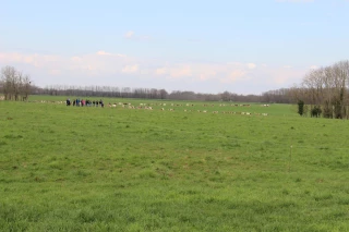Tournant dynamique, une réponse aux défis climatiques