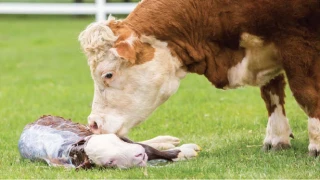 Une menace réelle sous-estimée