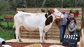 Un vent de renouveau