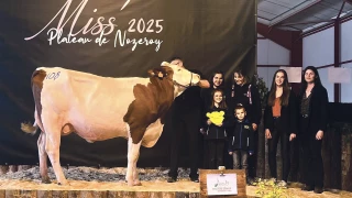 Trèsdrole et Tortellina, grandes gagnantes intercantonales