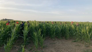 330 postes à pourvoir cet été dans le Jura