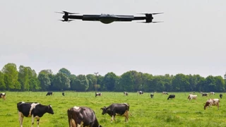 La tech investit les prairies