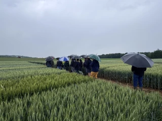 Des essais pour guider les choix