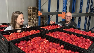 Vent fraîcheur sur les légumes 