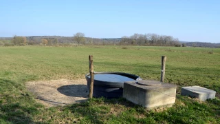 Eau : testez votre système d’abreuvement