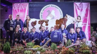 Le Show open annulé