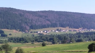 Les élus de la forêt privée en déplacement à Bois-d’Amont