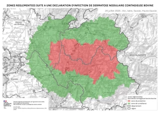 Stopper la progression, une affaire de tous !