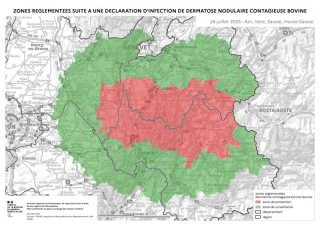 Stopper la progression, une affaire de tous !