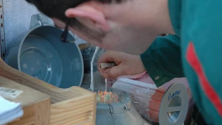 La montbéliarde continue de tirer la dynamique