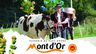 Froides ou chaudes, les boîtes s'ouvriront mercredi !