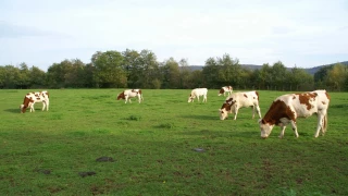 Bien gérer l’arrière-saison
