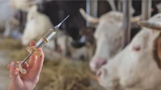 Les vétérinaires s’indignent de prises de paroles irresponsables