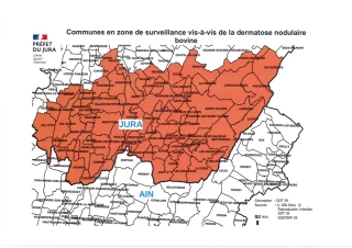 Ne pas baisser les bras