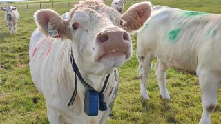 Une piste prometteuse mais encore coûteuse