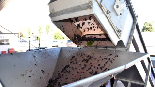 « Encore une année chaotique »