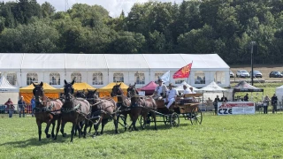 Les Comtois ouvrent le paddock aux Castillonnais
