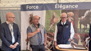 Le national sous pression de la DNC