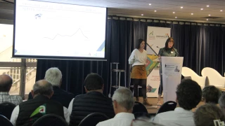 La force du collectif