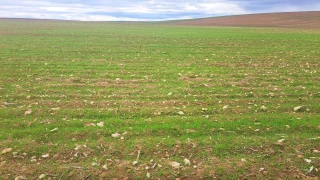 Un début d’automne propice au nettoyage