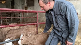 « Grâce au service de remplacement, j’ai pu continuer mon activité malgré mon accident »  
