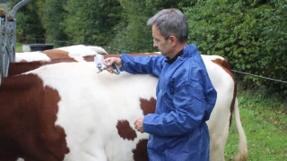 Un nouveau foyer confirmé à Écleux