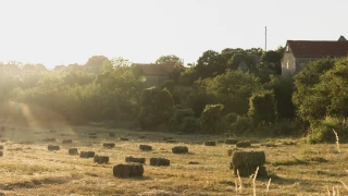 La clause de reprise sexennale à l’épreuve des délais et de la bonne foi
