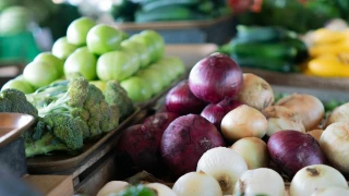 Des légumes bios et locaux dans nos assiettes : quels enjeux pour les maraichers et pour leur filière jurassienne 